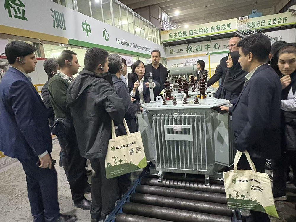 Build a bridge for cooperation in power equipment between China and Iran together