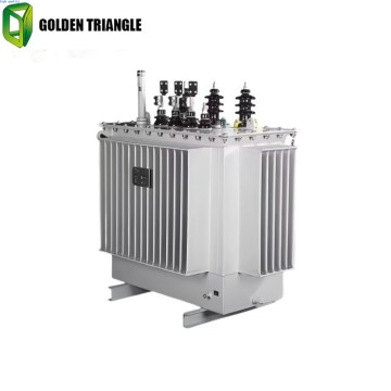 Efficient S12 Oil-Immersed Power Transformers That Meet Customized Req